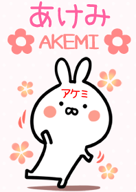 【あけみさん】専用♪うさぎの名前着せかえ