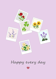 Record beautiful - flower photo