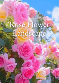 薔薇の花の風景 vol.1