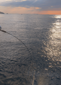 Angler