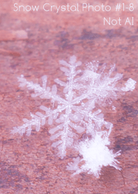 Snow Crystal Photo #1-8Not AI