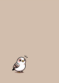 Cute little sparrow 1