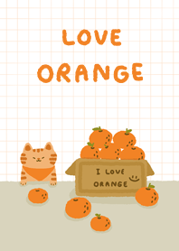 Cat and oranges