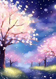 Beautiful night cherry blossoms#1121