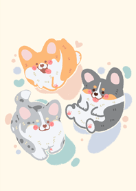 Everyday with Corgi ;3