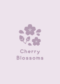 Cherry Blossoms10<PurplePink>