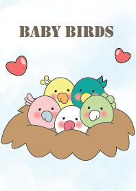 Baby Birds