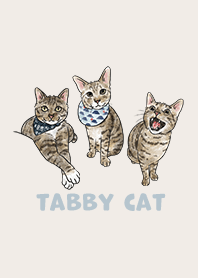 tabbycat2 / light cream