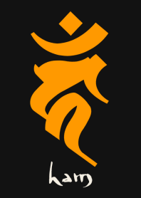 BONJI zodiac [haM] BLACK ORANGE (0857