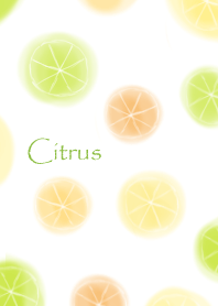 Fresh Citrus lemon&orange&lime