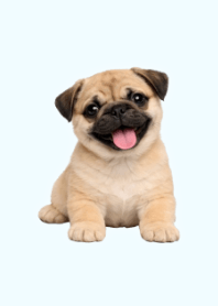 Plush Pug Theme Blue 03