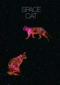SPACE CAT#1