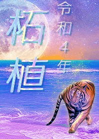 ✿柘植さん専用✿2022を幸運に導く月海と虎