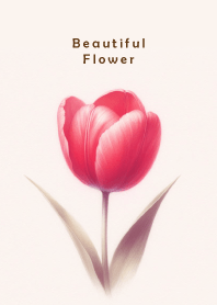 Beautiful Flower-RED TULIP 3