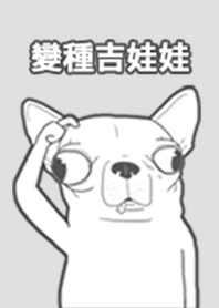 chi huahua goodmorning