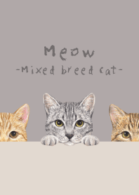 Meow - Mixed breed cat 03 - GRAY