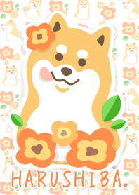 Spring Japanese Shiba inu Theme!