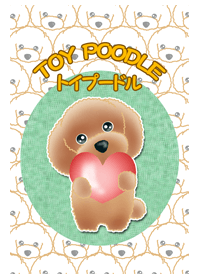 TOY POODLE TOY POODLE