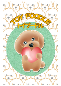TOY POODLE トイプードル