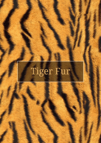 Tiger Fur 42