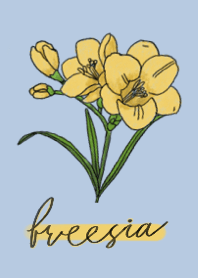 Flower Freesia