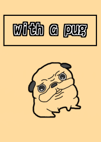 with a pug