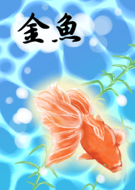 金魚 #cool
