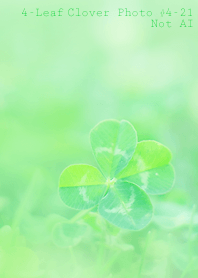 4-Leaf Clover Photo#4-21Not AI