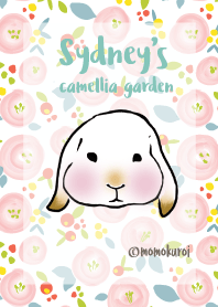Sydney's Camellia Garden