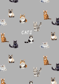 cat world on white