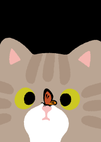 tabby cat with crossed eyes_black1