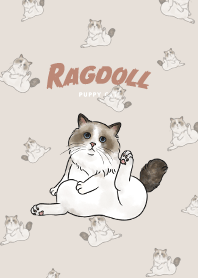 ragdollcat1 / beige