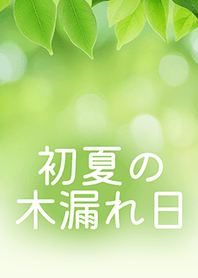 Soothing Green Leaves