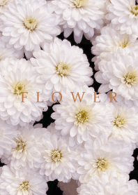 FLOWER -KIKU- 2
