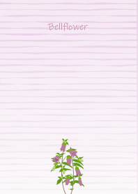 July's birth flower,Bellflower