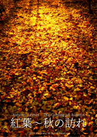 Autumn Leaves - The Coming of Autumn 2
