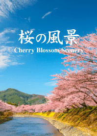 "Cherry Blossom Scenery vol.7" theme