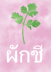 สีน้ำผักชีไทย