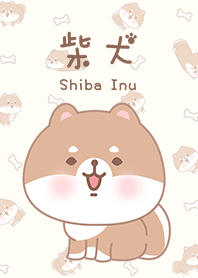 misty cat-Shiba Inu 3