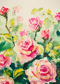 Beautiful rose flower(R4283)