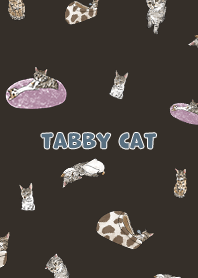 tabbycat1 - chocolate