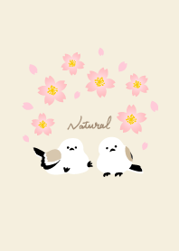 Long-tailed tit arch cherry blossoms8 J