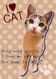 I LOVE CAT THEME