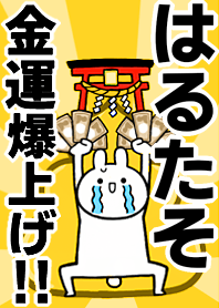 Fortune rise rabbiit[Haru-taso]