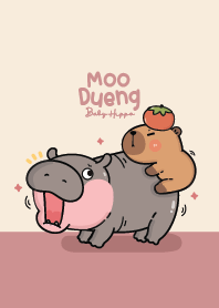 เจ้าหมูดึ๋ง : ลูกฮิปโปแคระ :)