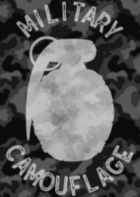 Military -Camouflage2-