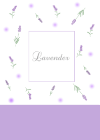 Lavender purple flower