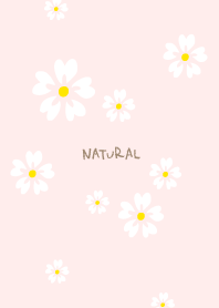 5 white petals14 from Japan