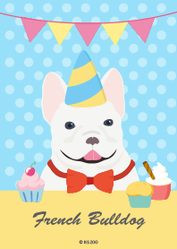 French Bulldog - Bow.