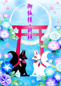 御狐様 朝顔＠夏